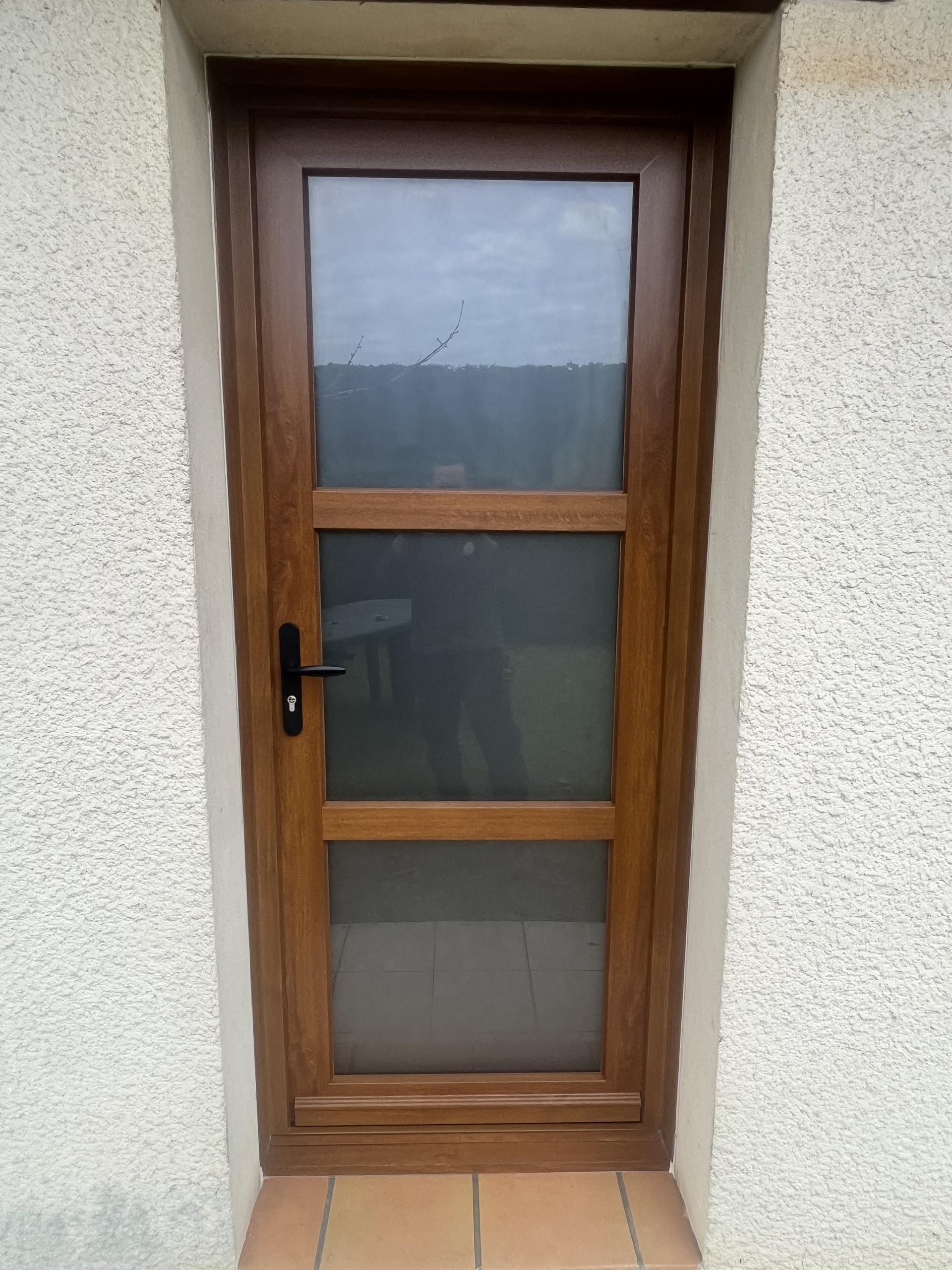 porte entree aspect bois vitree trois carreaux